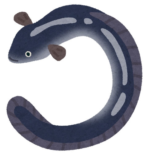 fish_unagi2