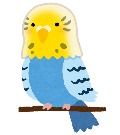 bird_inko_yellow_blue