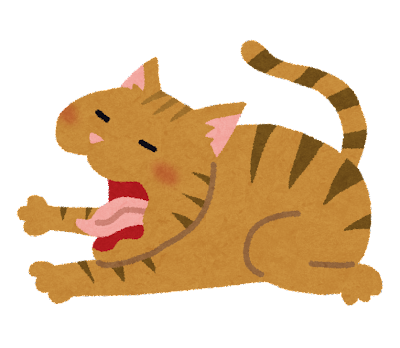 akubi_cat