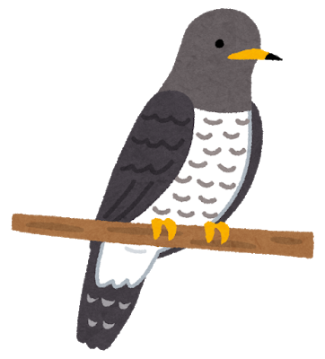 bird_hototogisu