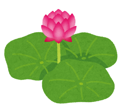 flower_hasu