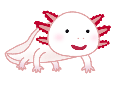 全てが嫌になったウーパールーパーさんがコチラｗｗｗｗｗｗｗｗｗ ずっと日曜日のターン