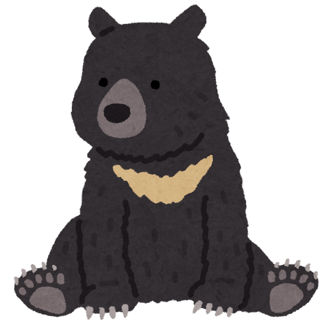 animal_bear_tsukinowa