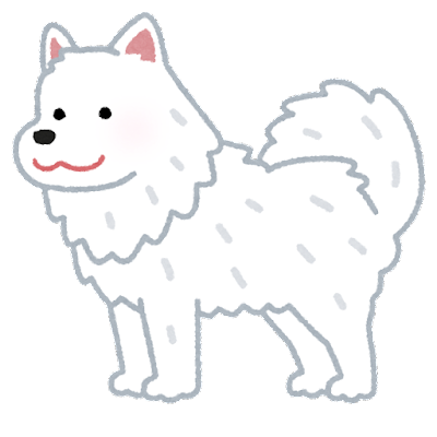 dog_samoyed