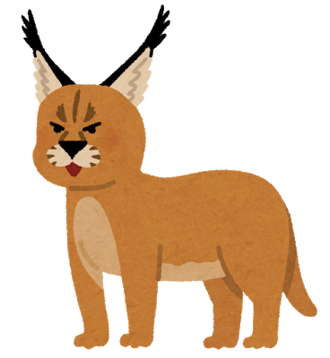 animal_caracal