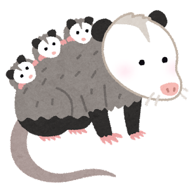 animal_opossum_family