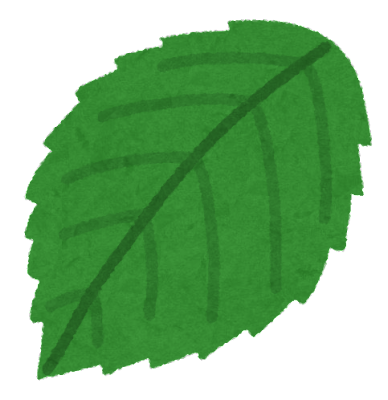 plant_leaf_bara