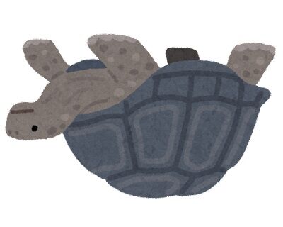 turtle_kame_zougame