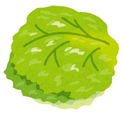 vegetable_lettuce