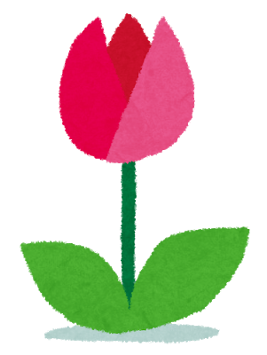 flower_tulip
