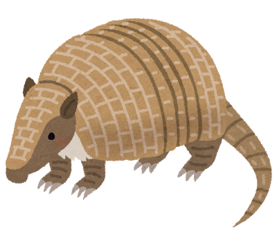 animal_armadillo