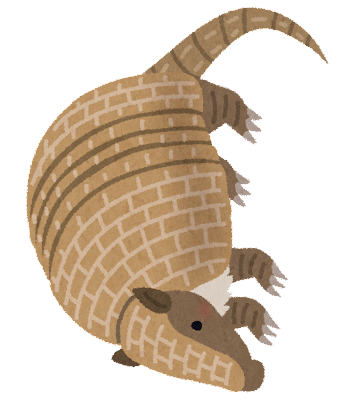 animal_armadillo