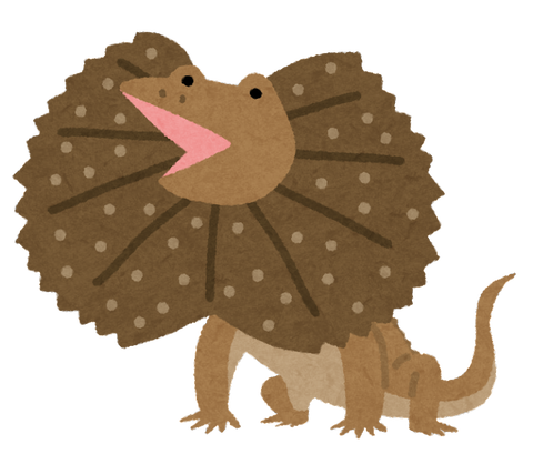 animal_erimaki_tokage