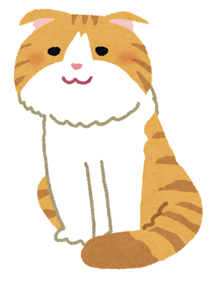 cat_scottish_fold