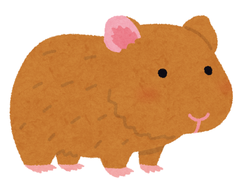 animal_marmot_brown