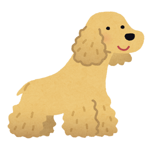 dog_american_cocker_spaniel