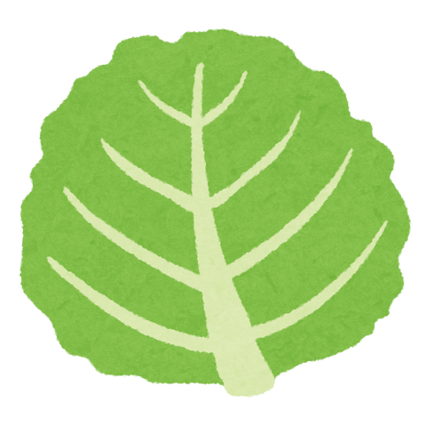 vegetable_cabbage_leaf