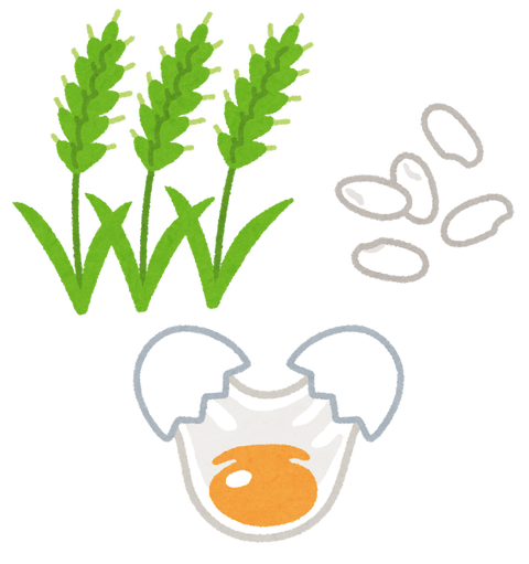 hayakuchi_namamugi_kome_tamago