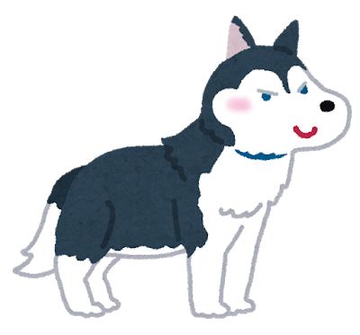 dog_siberian_husky