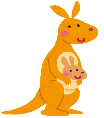 animal_kangaroo
