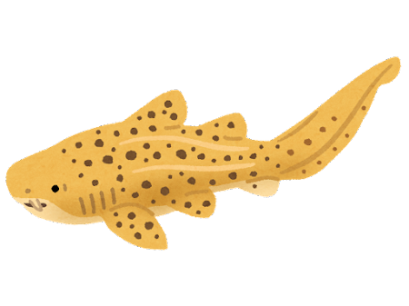 fish_same_torafuzame