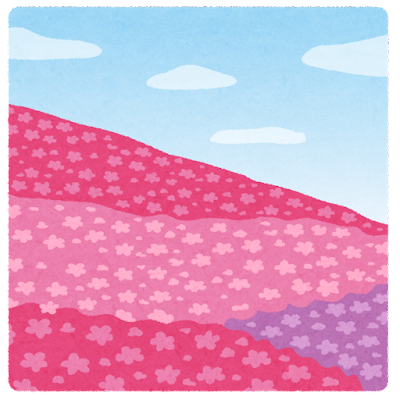 flower_shibazakura