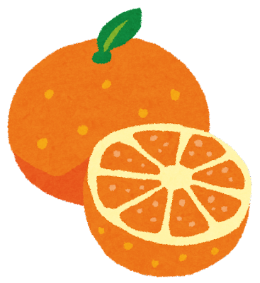 fruit_orange2 (1)
