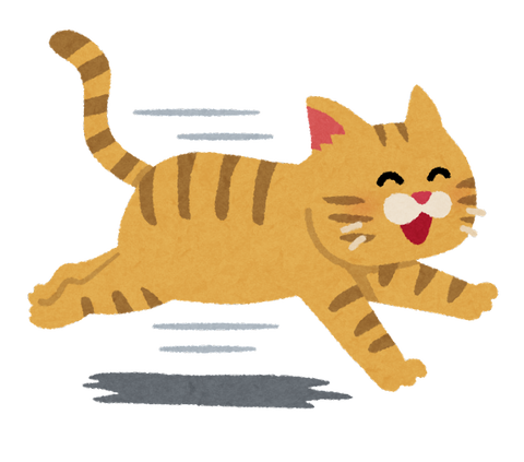 run_cat_smile