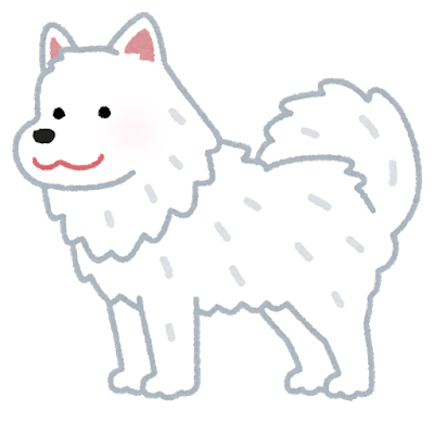 dog_samoyed