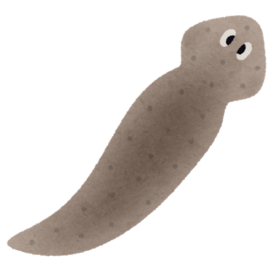 animal_planaria