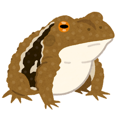 frog_hikigaeru