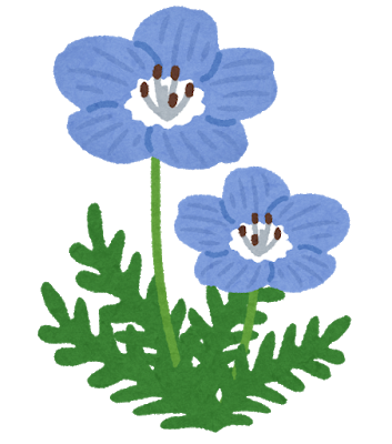 flower_nemophila