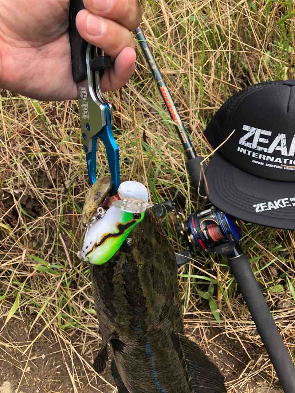 釣果情報 埼玉ナマズ Zeakeフロッシュ 毎晩ノリノリblog