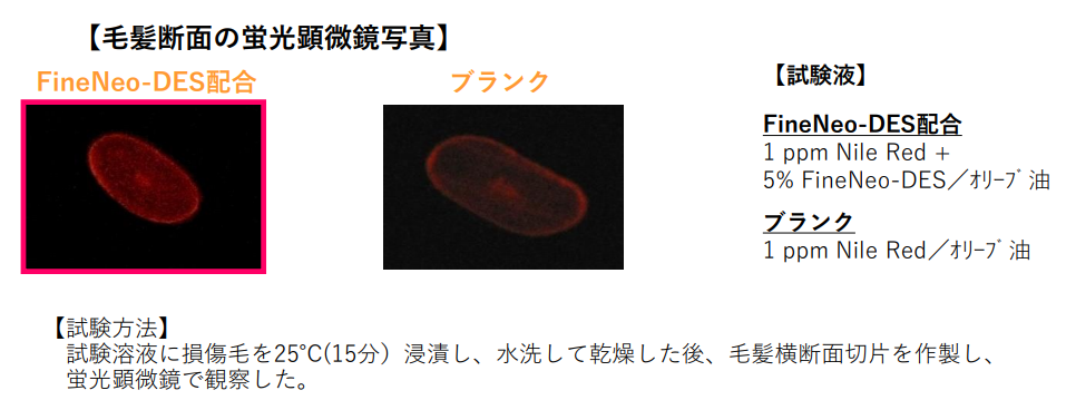 傷んだパサついた髪 ダメージヘアを綺麗にまとめるためのトリートメント コンディショナー 化粧品技術者かずきのエビデンス化粧品blog 傷んだパサついた髪 ダメージヘアを綺麗にまとめるためのトリートメント コンディショナー 化粧品技術者かずきのエビデンス化粧品blog