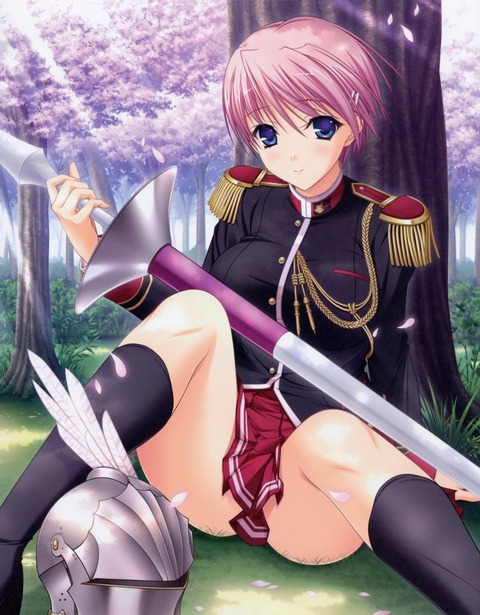 ワルキューレロマンツェの画像　50枚 14