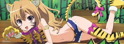 とらドラ！のイラスト　50枚 15