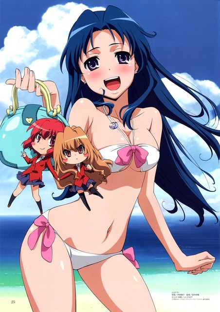 とらドラ！のイラスト　50枚 41