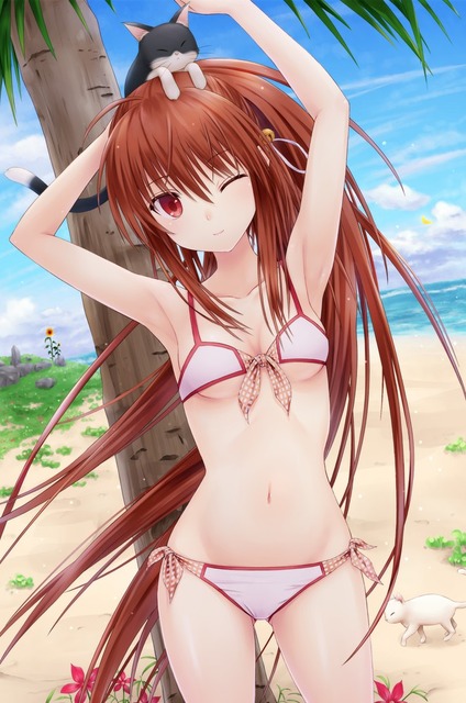 アニメ画像色々　その115　50枚 15