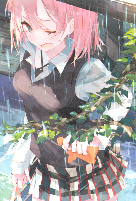 ぽんかん⑧の画像 50枚