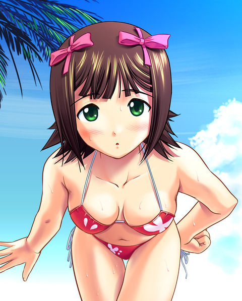 アイドルマスターより天海春香のイラスト　50枚 17