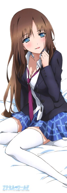 アクセルワールドの画像　50枚 20