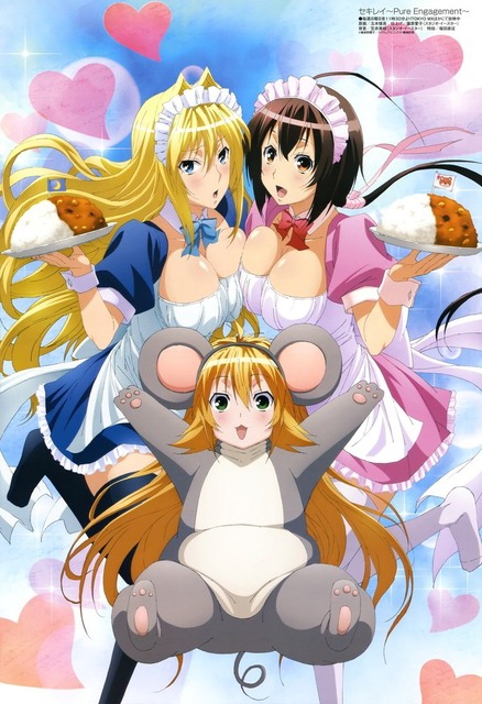 セキレイのイラスト　50枚 33