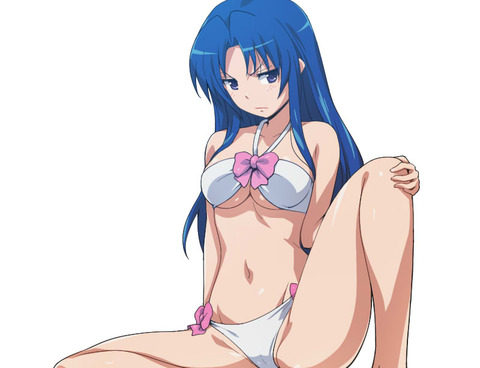 とらドラ！のイラスト　50枚 16