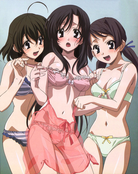 School Daysの画像　50枚 32