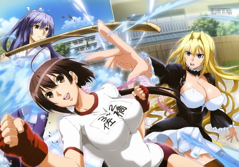 セキレイのイラスト　50枚 28