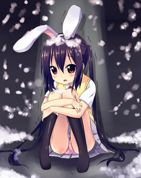 けいおん！より中野梓の画像　50枚 14