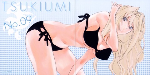 セキレイのイラスト　50枚 41