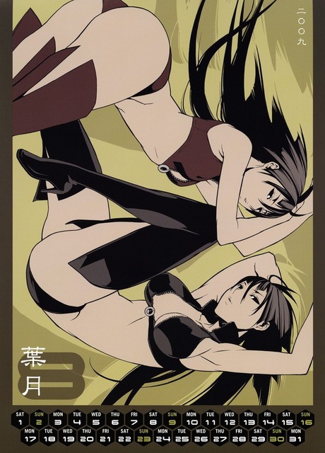 セキレイのイラスト　50枚 23