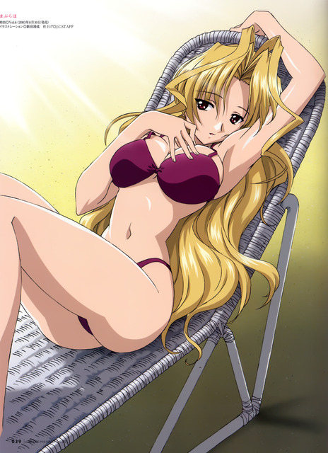 まぶらほの画像50枚 23