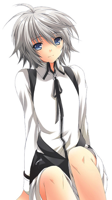 セキレイのイラスト　50枚 2